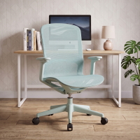 Designer office chair Muse...