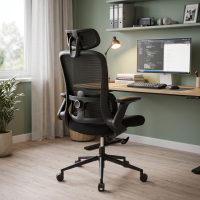Ergonomic office chair Dexter with lumbar support and flip-up armrests