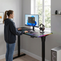 Electric height-adjustable gaming desk NewLevel, 140x60cm