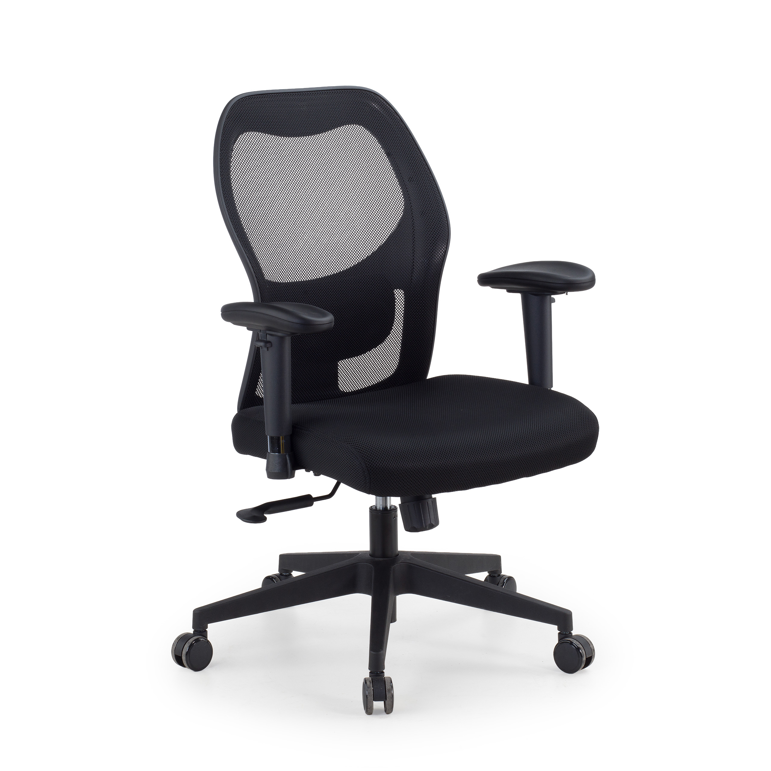 Ergonomic office chair Sora with lumbar support and 2D armrests