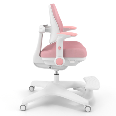 Adjustable footrest and flip-up armrests