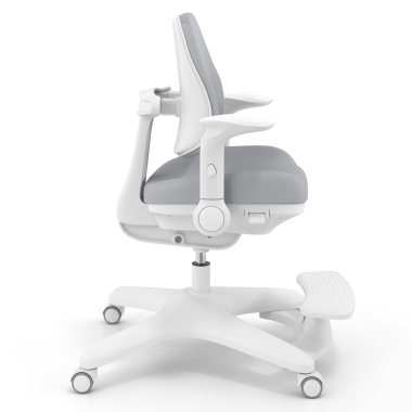 Adjustable footrest and flip-up armrests