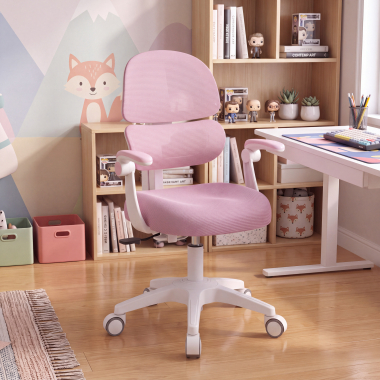 Dual ergonomic backrest for more complete support