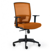 Akira ergonomic office...