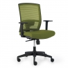 Ergonomic office chair Akira with headrest