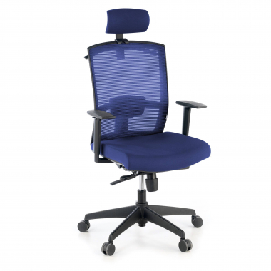 ergonomic chair blue black frame headrest mesh 1d adjustable armrests lumbar support headrest 1