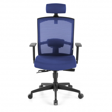 ergonomic chair blue black frame headrest mesh 1d adjustable armrests lumbar support headrest 4
