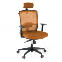 Ergonomic office chair...