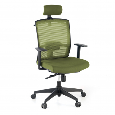 ergonomic chair green black frame headrest mesh 1d adjustable armrests lumbar support headrest 1