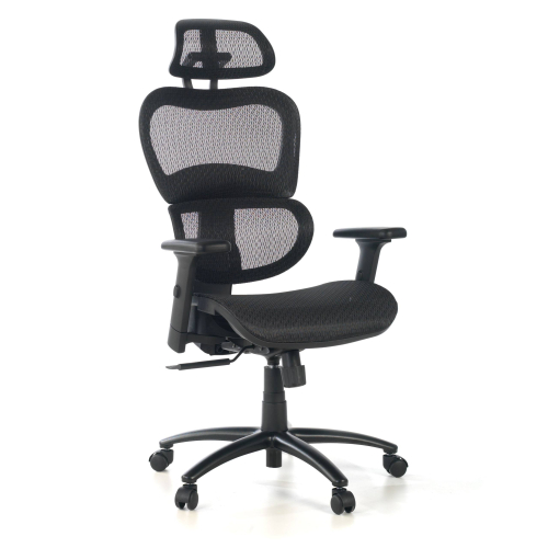 Ergonomic Chair Ergocity, lumbar cushion, 3D arms