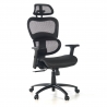 Ergonomic Chair Ergocity white, lumbar cushion, 3D arms