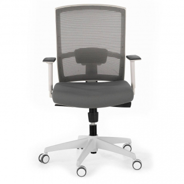 ergonomic chair white grey white frame mesh 1d adjustable armrests lumbar support 4