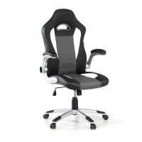 Lotus Gaming Chair, racing...
