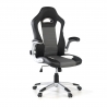 Lotus Gaming Chair, racing design and adjustable armrests
