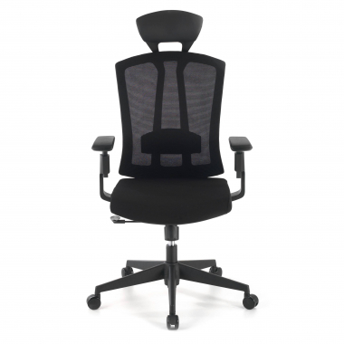 ergonomic chair black ridley mesh 3d adjustable armrests lumbar support headrest 4