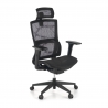 Ergonomic Chair Winter, Lumbar Support, Headrest