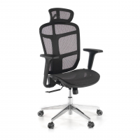 Dover Ergonomic home office...