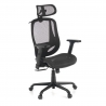 Locktech Ergonomic Office Chair, Lumbar Support, Headrest