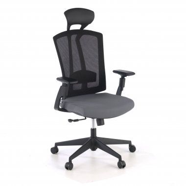 ergonomic chair gray ridley mesh 3d adjustable armrests lumbar support headrest 1