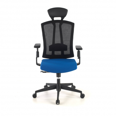 ergonomic chair blue ridley mesh 3d adjustable armrests lumbar support headrest 4