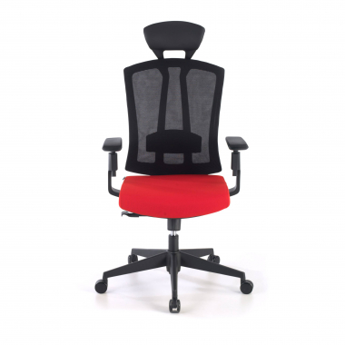 ergonomic chair red ridley mesh 3d adjustable armrests lumbar support headrest 6