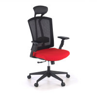 Ergonomic Chair Ridley,...