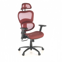 Ergonomic Chair Ergocity,...