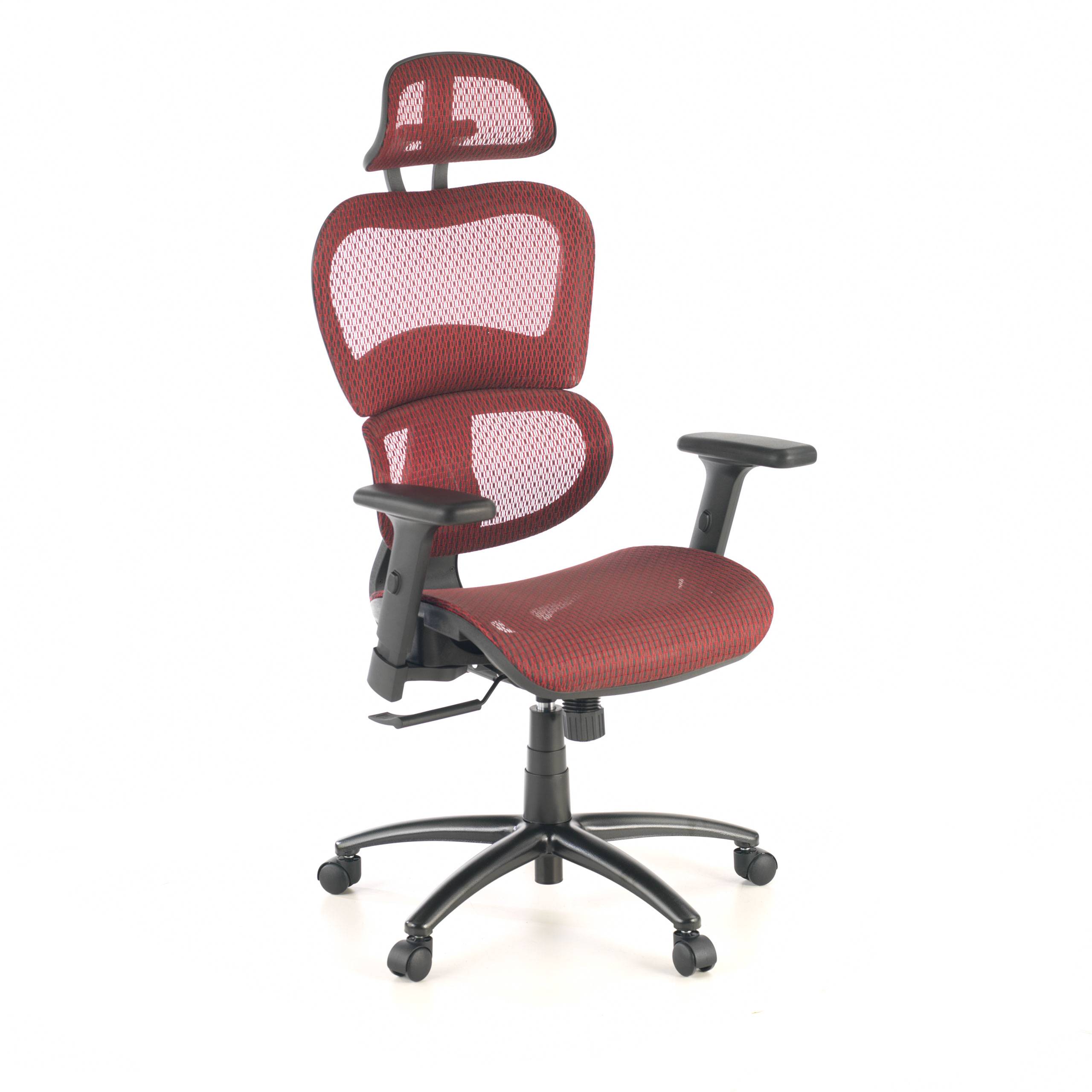 Ergonomic Chair Ergocity, lumbar cushion, 3D arms