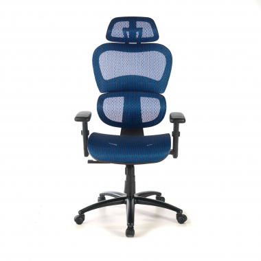 ergonomic chair blue black frame mesh 3d adjustable armrests double lumbar support headrest 5