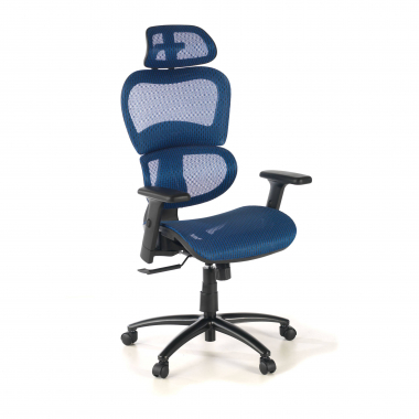 ergonomic chair blue black frame mesh 3d adjustable armrests double lumbar support headrest 1