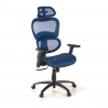 Ergonomic Chair Ergocity, lumbar cushion, 3D arms