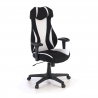 Titan gaming chair with foldable armrests, padded