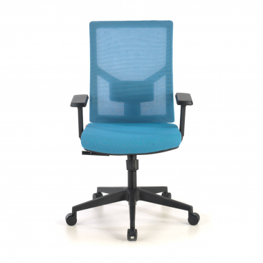 ergonomic chair blue black frame headrest mesh 1d adjustable armrests lumbar support 4