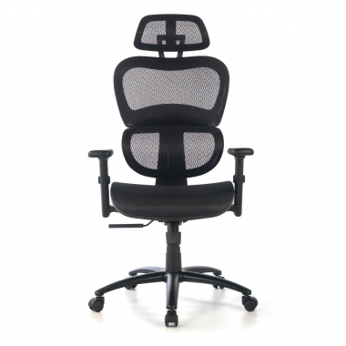 ergonomic chair black black frame mesh 3d adjustable armrests double lumbar support headrest 5