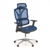 Focus Ergonomic Chair,...
