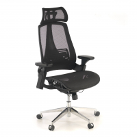 Thunder Ergonomic Chair,...