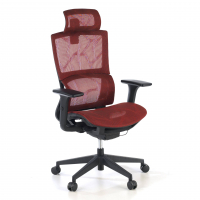 Ergonomic Chair Winter,...