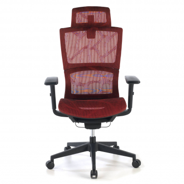 Lumbar Support