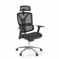 Focus Ergonomic Chair,...
