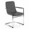 Visitor chair Dallas, ergonomic backrest, sled base 210873 - (Outlet)