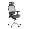 Flex Desk chair, adjustable arms, headrest