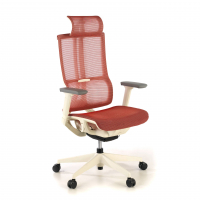 Ergonomic Chair with...