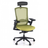 Wagner Ergonomic Chair,...