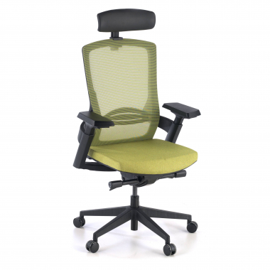 ergonomic chair green wagner mesh 3d adjustable armrests lumbar support 1