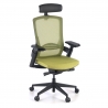 Wagner Ergonomic Chair, with headrest, 3D arms