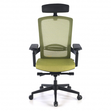 ergonomic chair green wagner mesh 3d adjustable armrests lumbar support 3