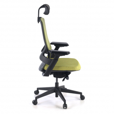 ergonomic chair green wagner mesh 3d adjustable armrests lumbar support 4