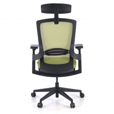 ergonomic chair green wagner mesh 3d adjustable armrests lumbar support 6
