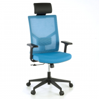 Ergonomic Office Chair...