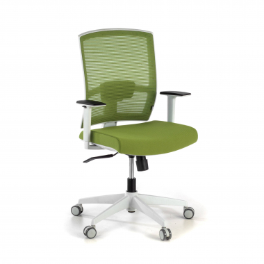 ergonomic chair white green white frame mesh 1d adjustable armrests lumbar support 1